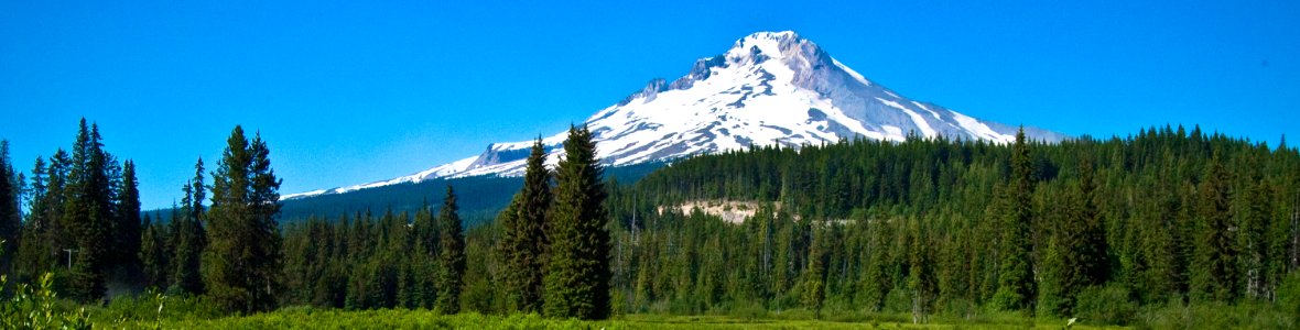 Mt Hood from Trillium Lake Meadow Panoramic-Mt Hood