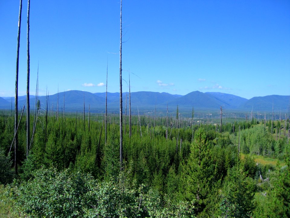 Pacific Northwest Trail hikers look west from Glacier National Park toward Polebridge and the North Fork Flathead River valley