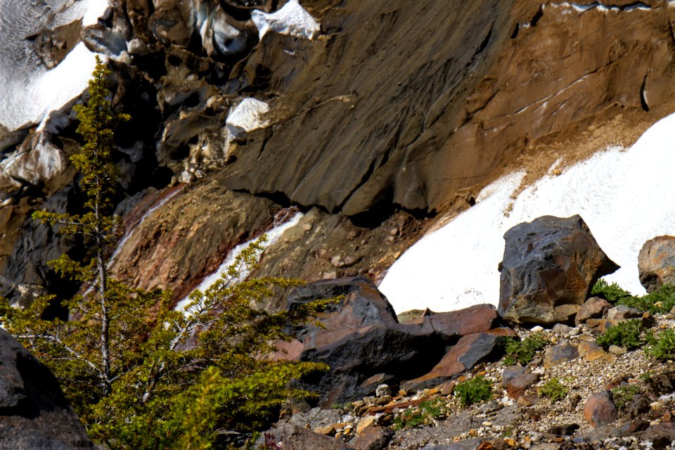 Boulders and Trees along Boulder Ridge, Mt Baker Snoqualmie National ...