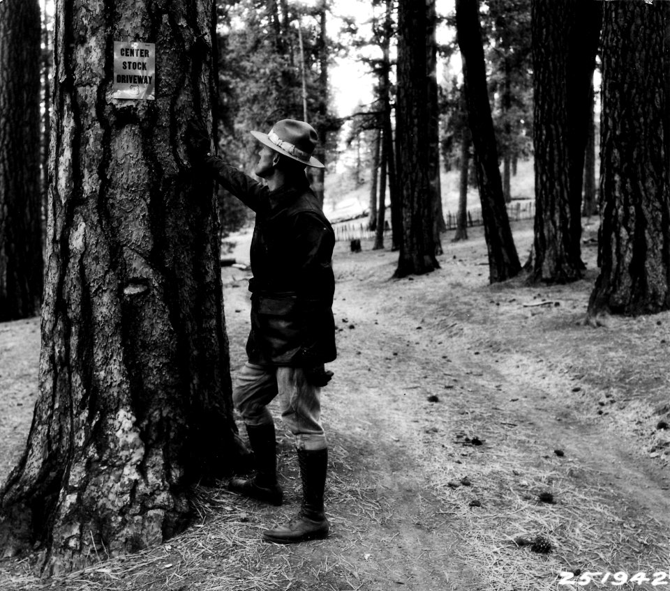 251942 Looking at Stock Driveway Sign, Malheur NF, OR 1930
