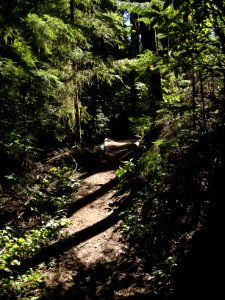 The Pacific Northwest Trail in the shadows, just below Mt. Zion on the Olympic National Forest photo