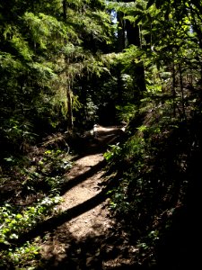 The Pacific Northwest Trail in the shadows, just below Mt. Zion on the Olympic National Forest
