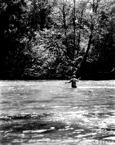 392870 Fishing McKenzie River at McKenzie Bridge FC, Cascade NF, OR 1936 photo