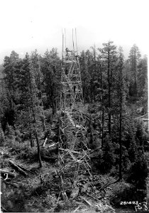281493 CCC Camp Ingram, Constructing LOT, Fremont, NF, OR 1933 photo