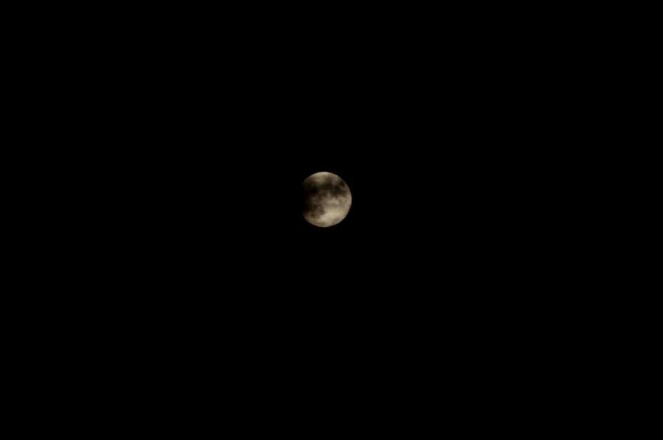 DSC 0235
