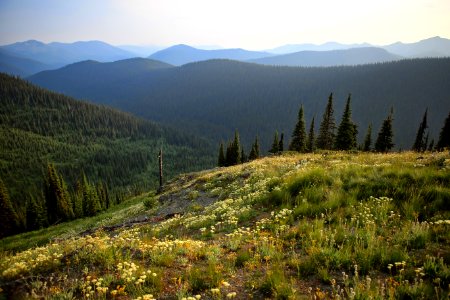 Northeast Washington's Salmo-Priest Wilderness offers solitude and sweeping vistas.