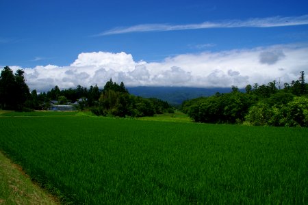 The Japanese countryside summer photo