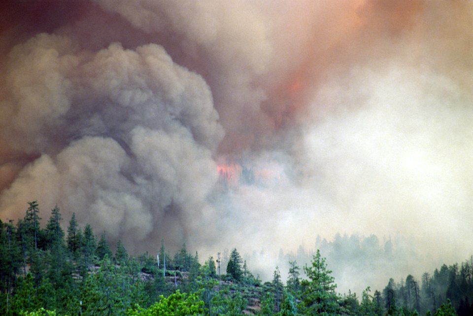 105  Rogue River-Siskiyou National Forest Biscuit Fire