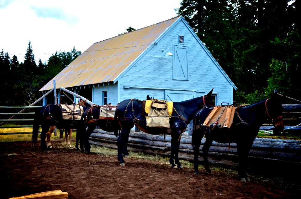 Willamette National Forest - Centennial Celebration at Fish Lake-109