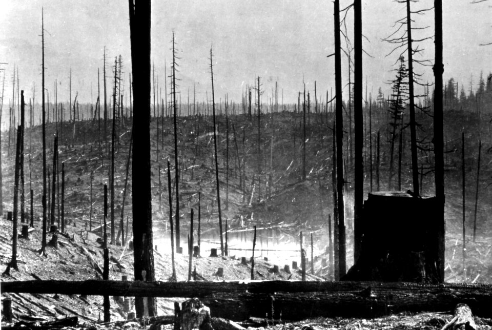 385771 CC in King County Watershed near Seattle, Snoqualmie NF, WA 1911