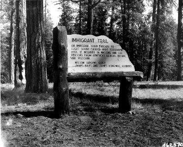 462570 Immigrant Trail Sign, Snoqualmie NF, WA 1950 photo