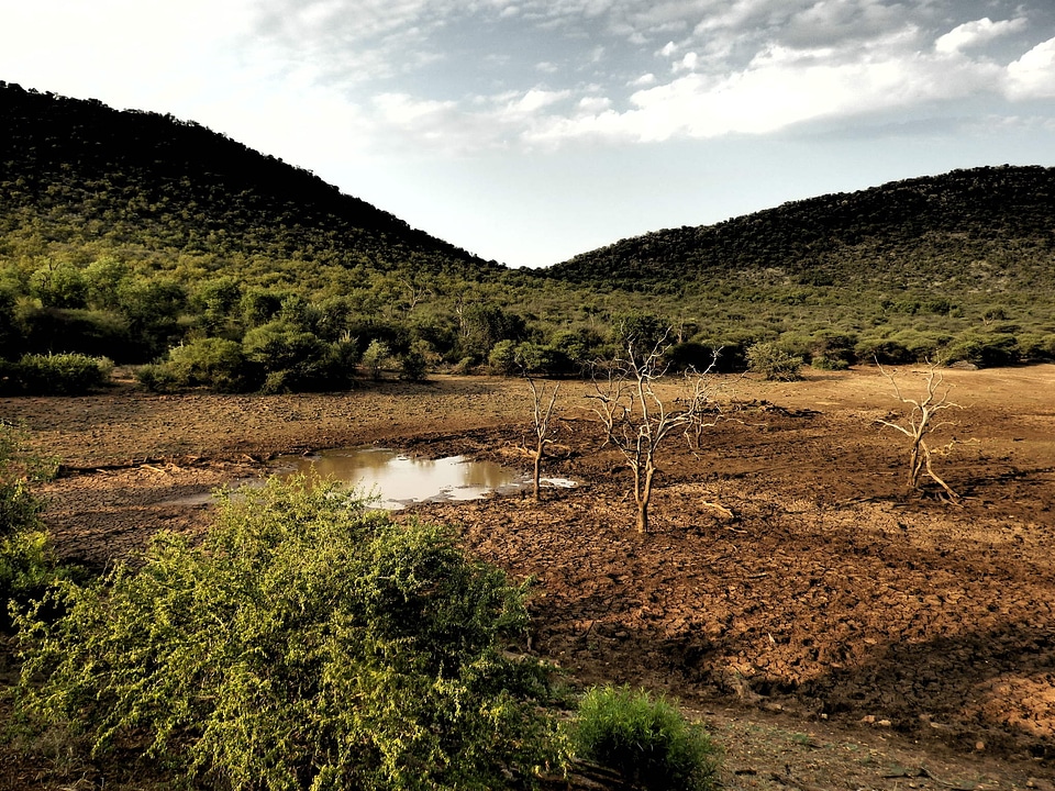 Africa nature wild