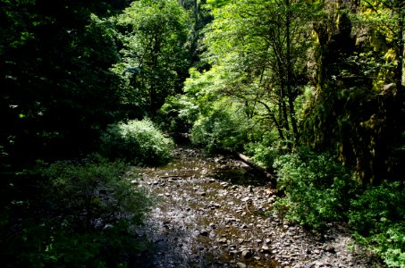 Oneonta Creek from Historic Highway-Columbia River Gorge photo