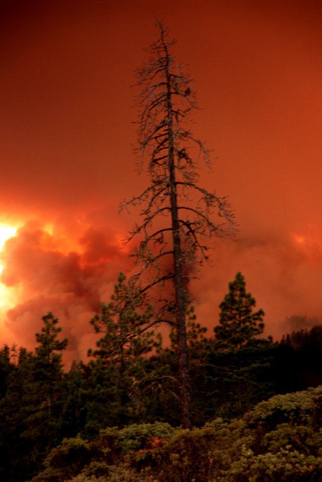 112 Rogue River-Siskiyou National Forest Biscuit Fire
