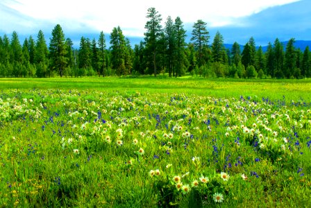 Ochoco National Forest  Big Summit Prairie