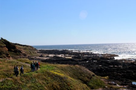 Group Hiking at Cape Perpetua, Siuslaw National Forest