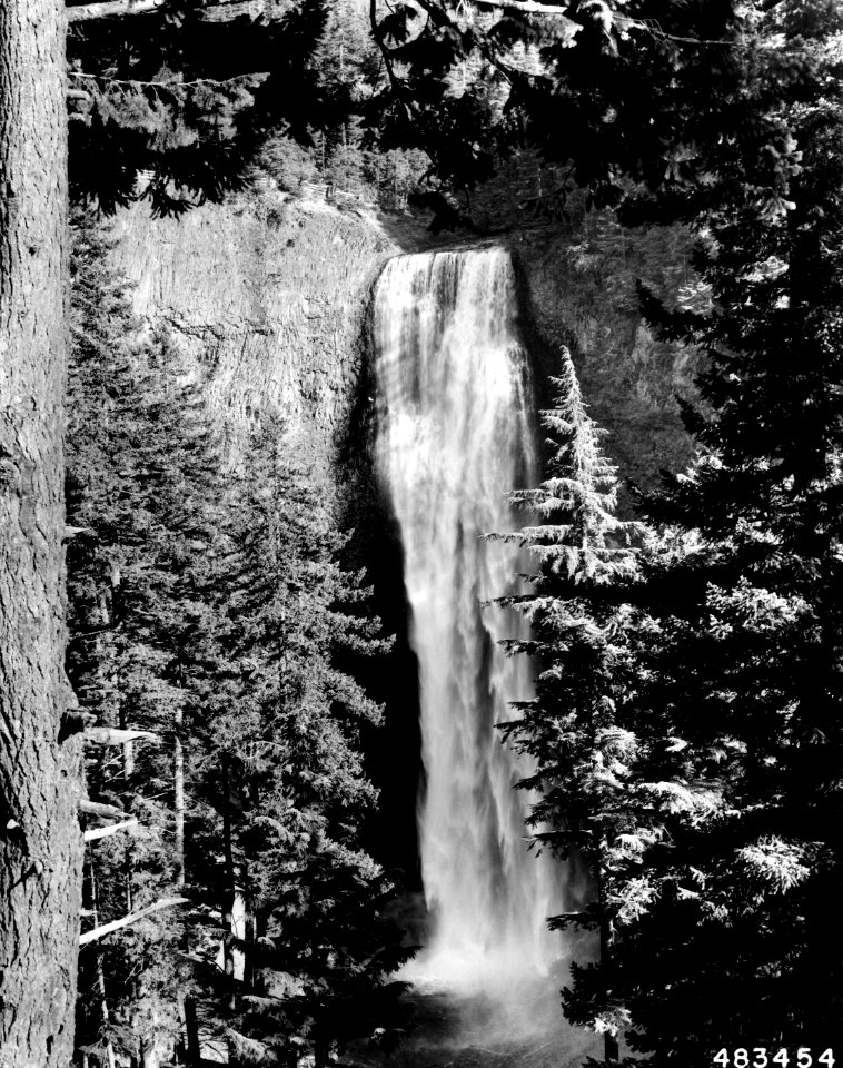 483454 Salt Creek Falls, Willamette NF, Oregon 1957