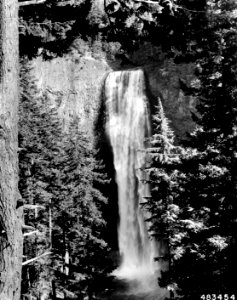483454 Salt Creek Falls, Willamette NF, Oregon 1957 photo