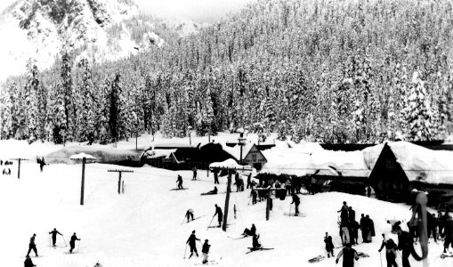 109 Winter Scene, Snoqulamie Pass, WA - Ellis