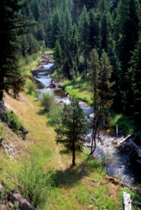 Umatilla Nat'l Forest, Grande Ronde River, stream habitat restoration.jpg