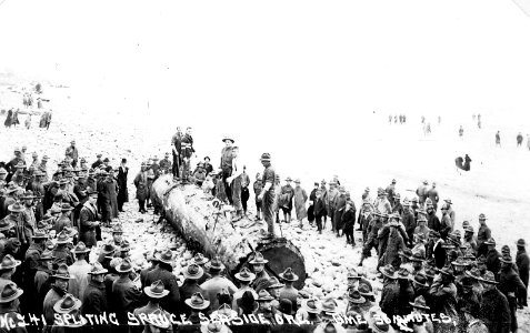 No. 241 Splitting Spruce Seaside Ore.  Time 30 Minutes.