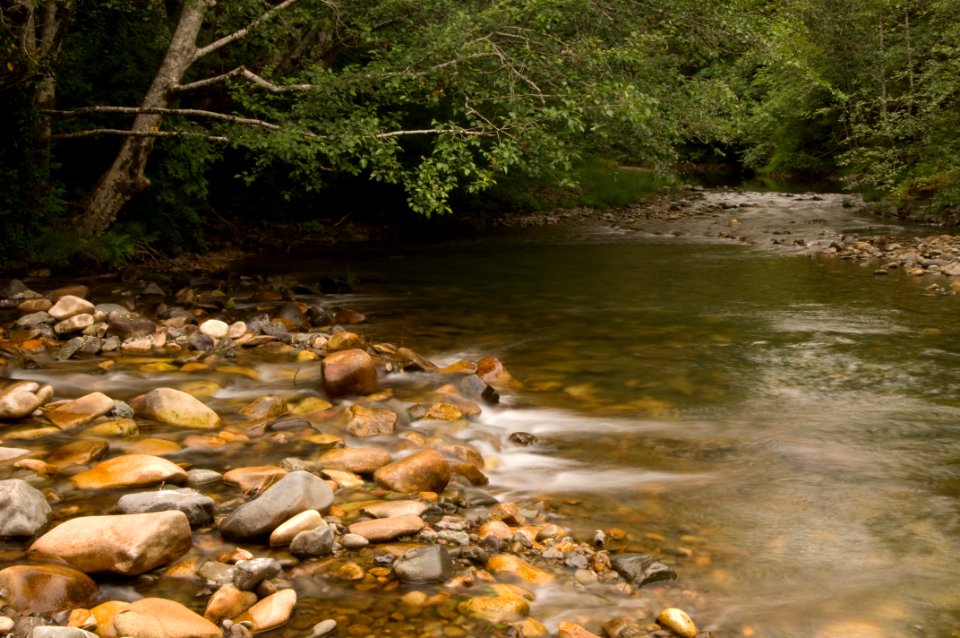 Winchuck River and Forest, Rogue River Siskiyou National Forest