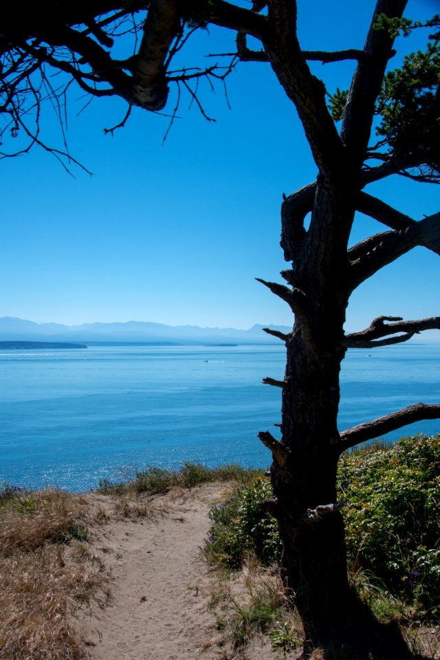 Sandy PNT Trail at Ebey's Landing