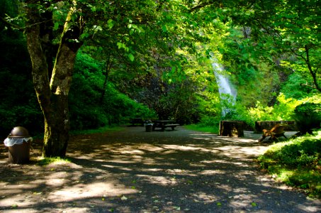 Picnic Area at Lower Horsetail Falls-Columbia River Gorge photo