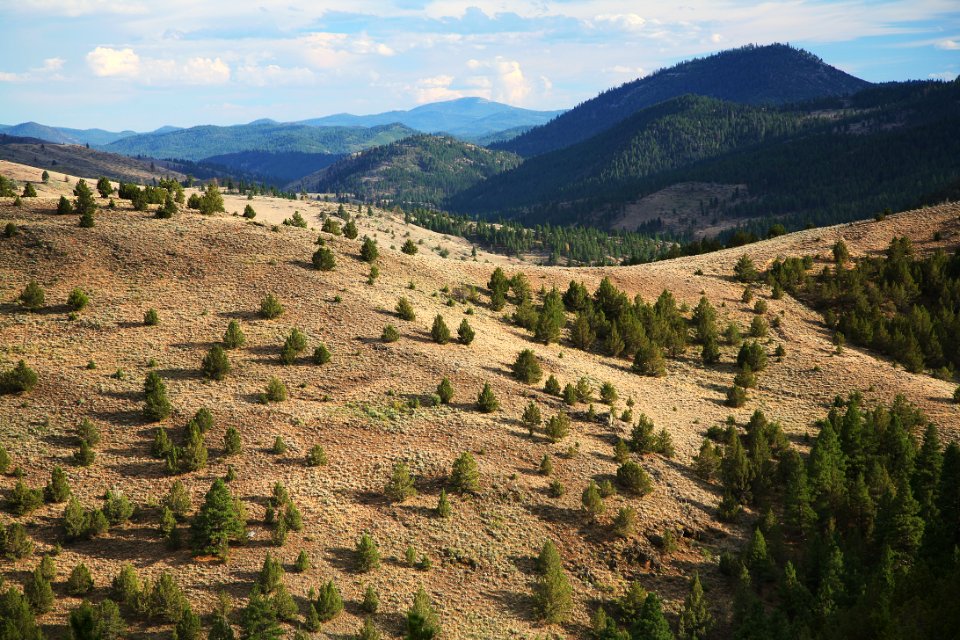 Hills around Gearhart Mountain-Fremont Winema