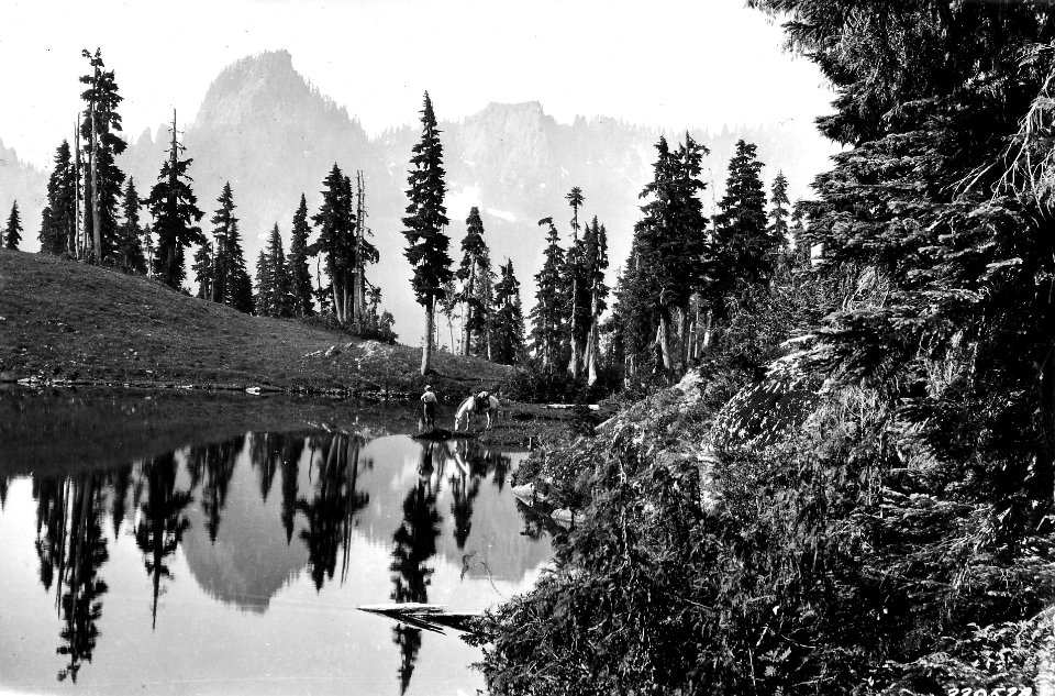 220528 McGravey Lake, Olympic NF, WA 1927