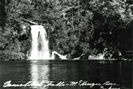 Willamette NF - Tamolitch Falls, OR c1935
