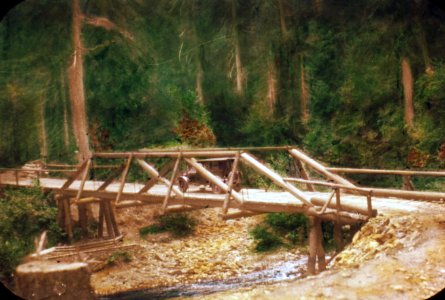 213121 Fish Creek Bridge, Umpqua NF 1926 photo