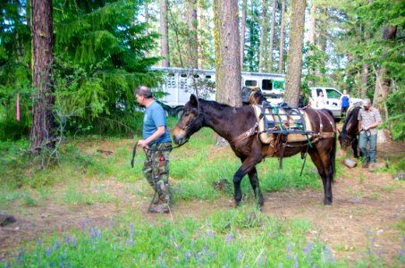 Wilderness Stewardship Skills Training at Mt Adams Ranger District-179