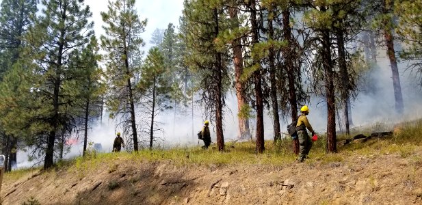 A team of firefighters monitor the direction of the Canyon 66 Prescribed fire photo
