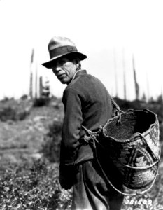 281589 Man Picking Huckleberries, Columbia NF, WA 1933