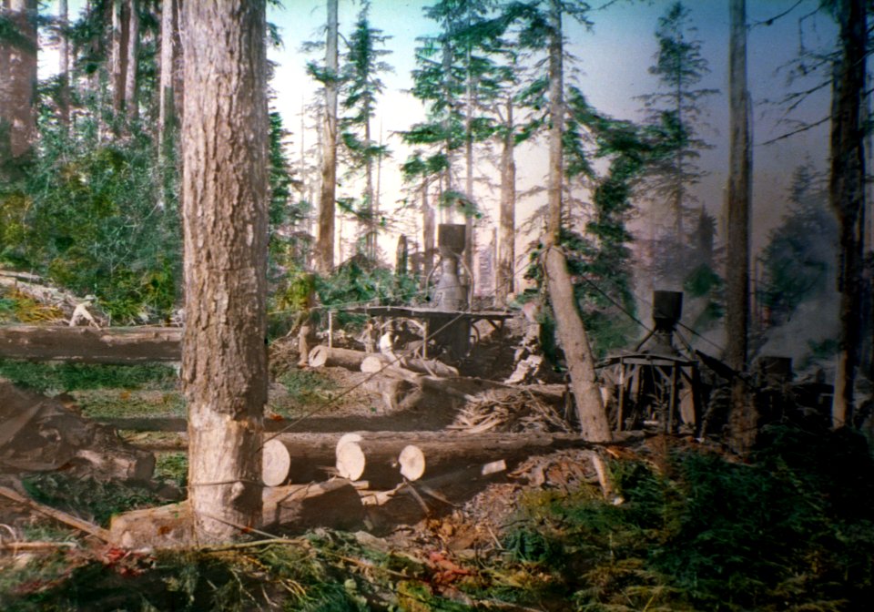 248 Two donkeys at the Bridal Veil lumber company near Palmer. OR