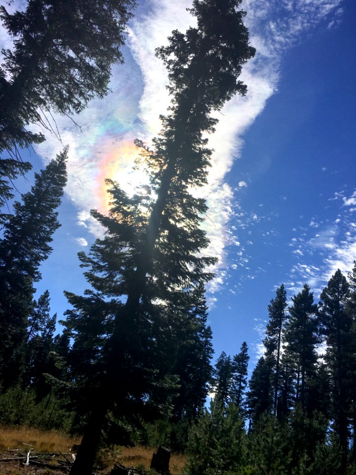 OCHOCO-Sustainability & Resiliency Camp-005