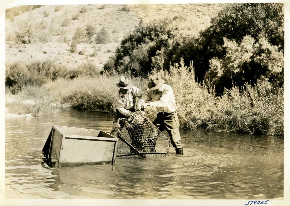 1936 Ochoco 08 25 Beaver 004