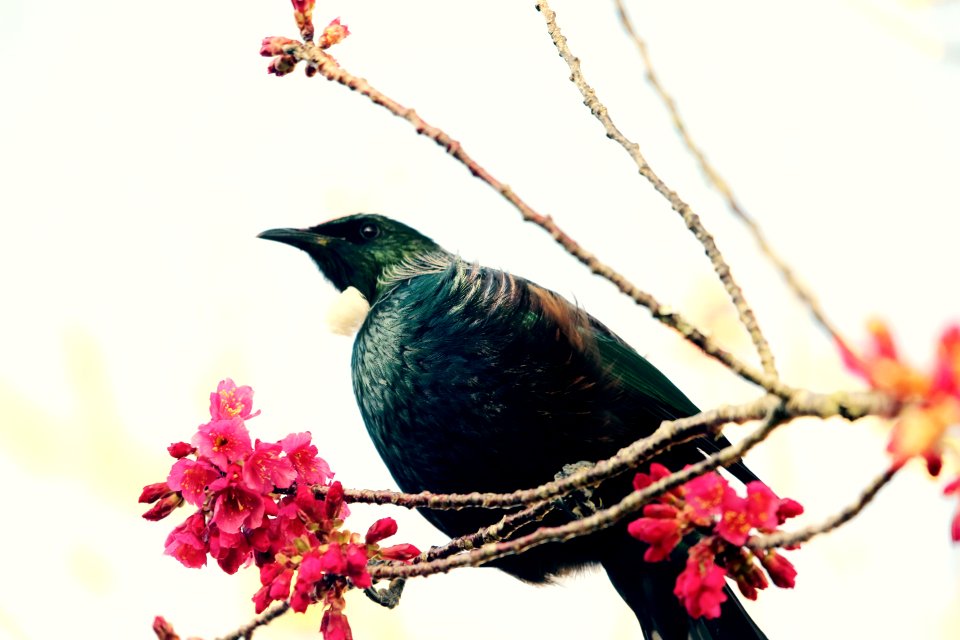 First signs of Spring