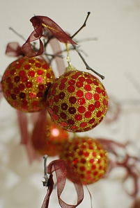 Holiday red gold