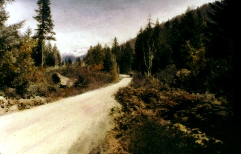 204590 McKenzie Hwy Near Lost Creek Ranch, Cascade NF 1925