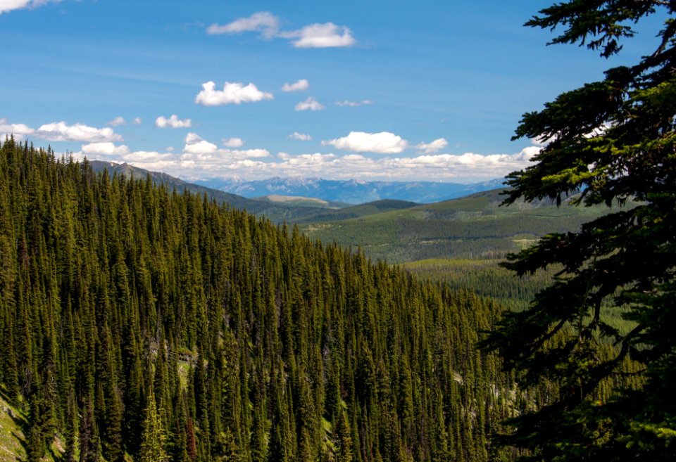 Looking east from the Pacific Northwest Trail above Boulder Lake