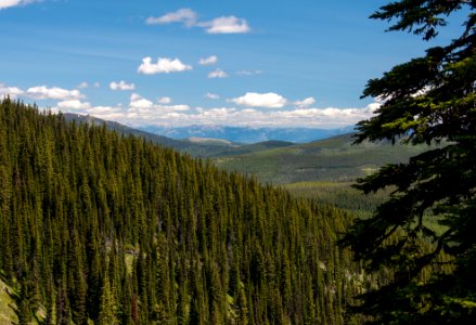 Looking east from the Pacific Northwest Trail above Boulder Lake