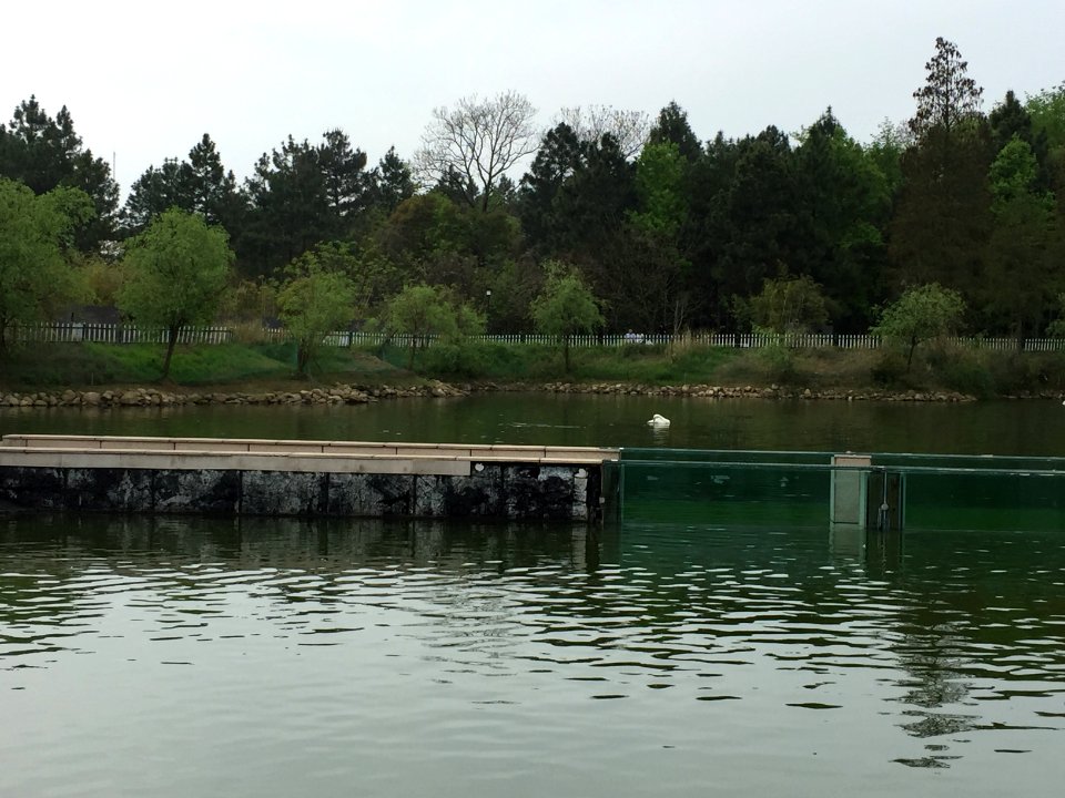 鄱陽湖濕地公園～江西省China