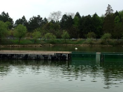 鄱陽湖濕地公園～江西省China