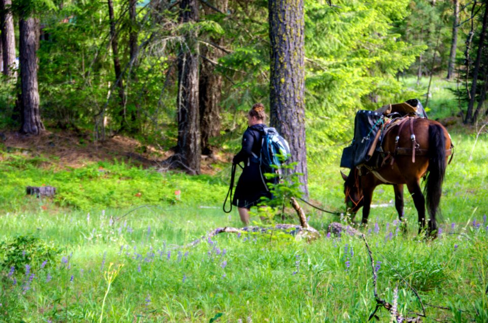 Wilderness Stewardship Skills Training at Mt Adams Ranger District-196