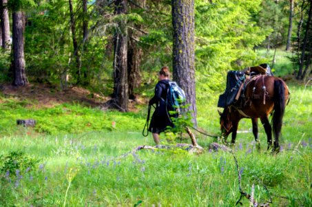 Wilderness Stewardship Skills Training at Mt Adams Ranger District-196