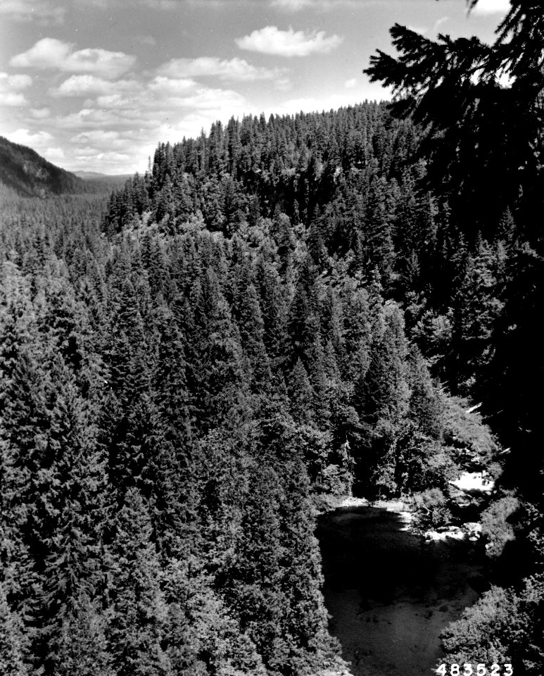 483523 Upper McKenzie River, Willamette NF, OR 1957