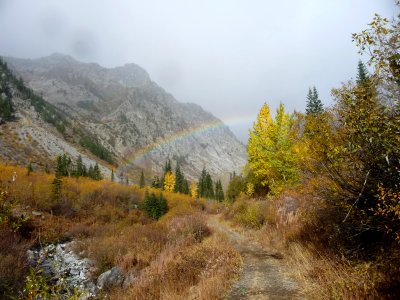 Rainbow at West Fork Pine Creek, Wallowa-Whitman National Forest photo