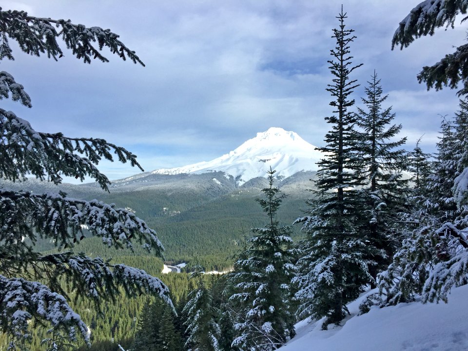 View of Mt Hood by Timothy Lake,  Mt Hood National Forest